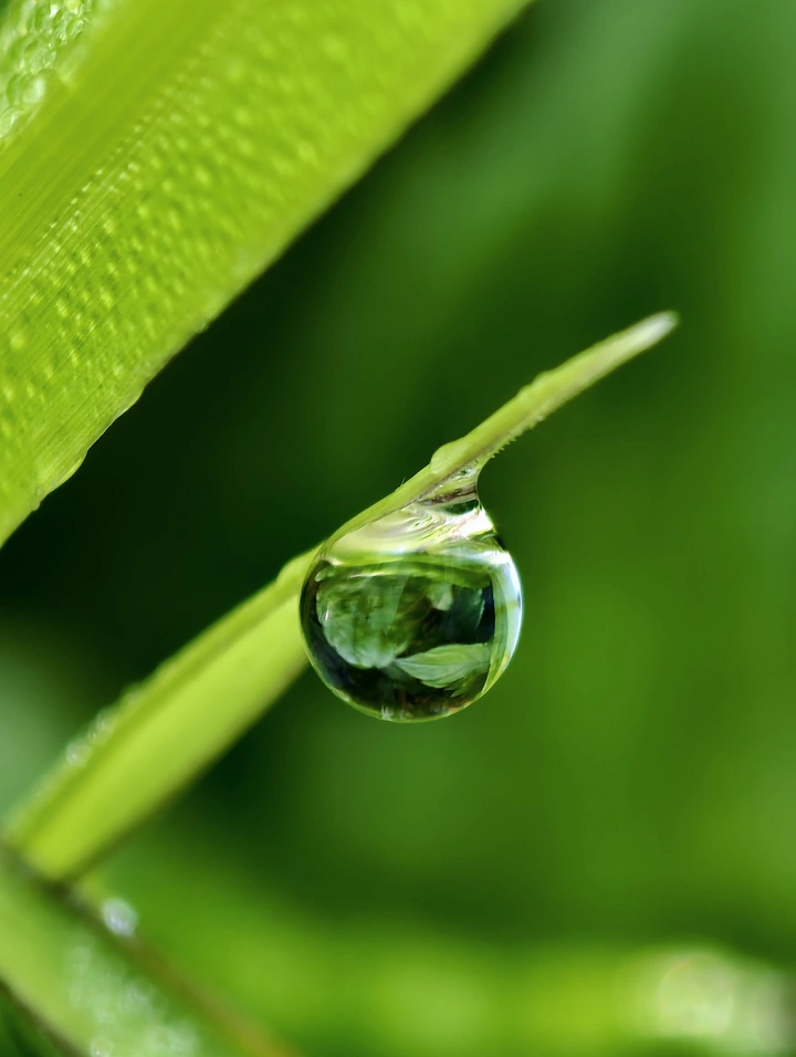 水滴