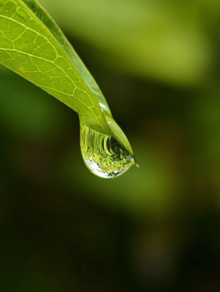 雨滴