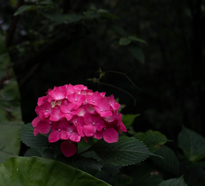 成都百花潭公园踩点