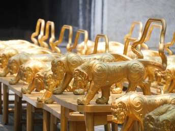 一排金色的椅子坐在桌子上