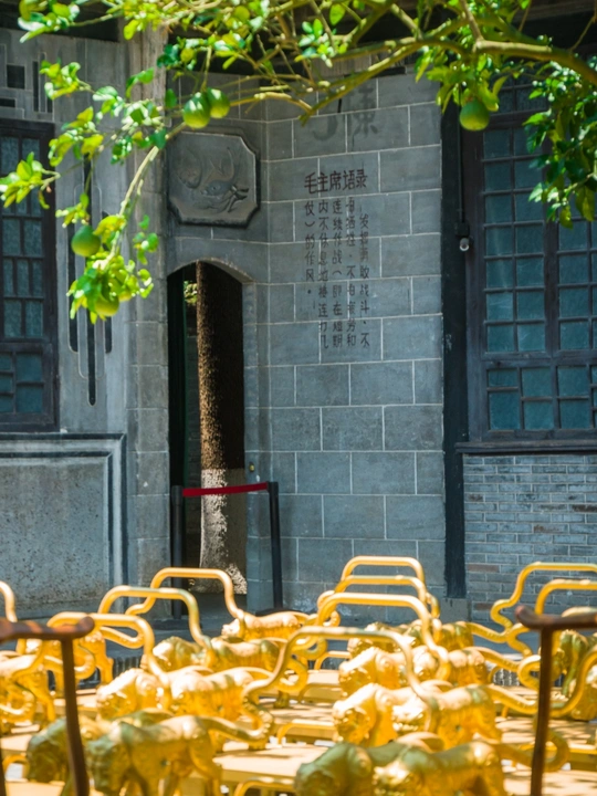 建筑前坐着的一排金椅子