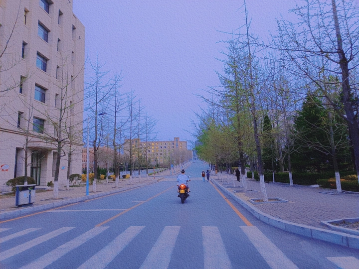 我相册里的连大
