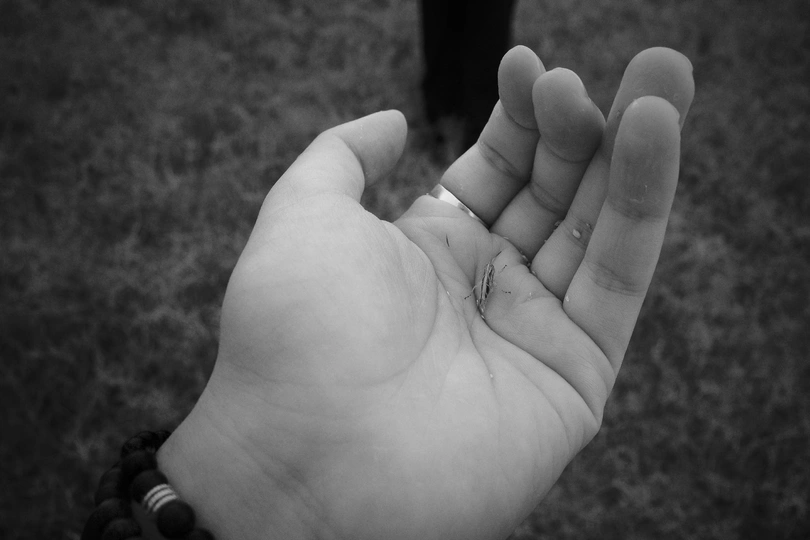 一个人拿着一个黑白小手