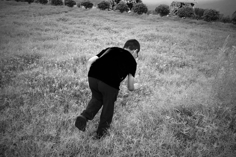 一个年轻人穿过一片草地 手里拿着一个飞盘。