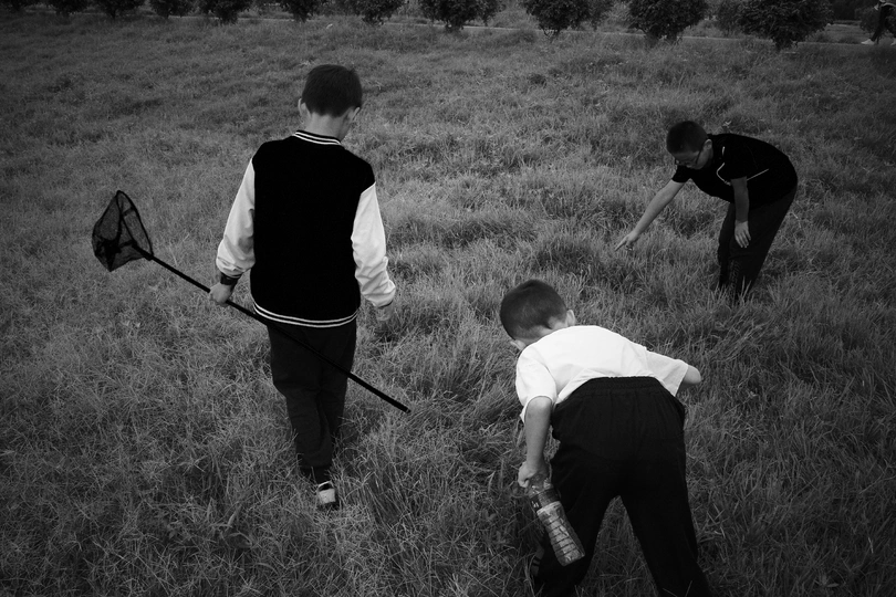 草地上 一个男子和一个年轻男孩在玩游戏。