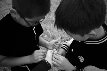 两个小男孩一起玩 手里都拿着东西