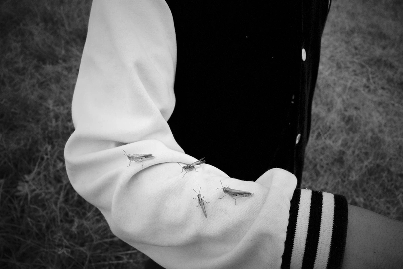 一个穿黑白色衣服的男孩伸出手臂上的小鸟