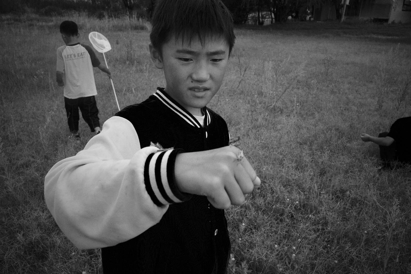 一个小男孩手里拿着风筝站在一片草地上