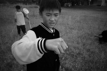 一个小男孩手里拿着风筝站在一片草地上