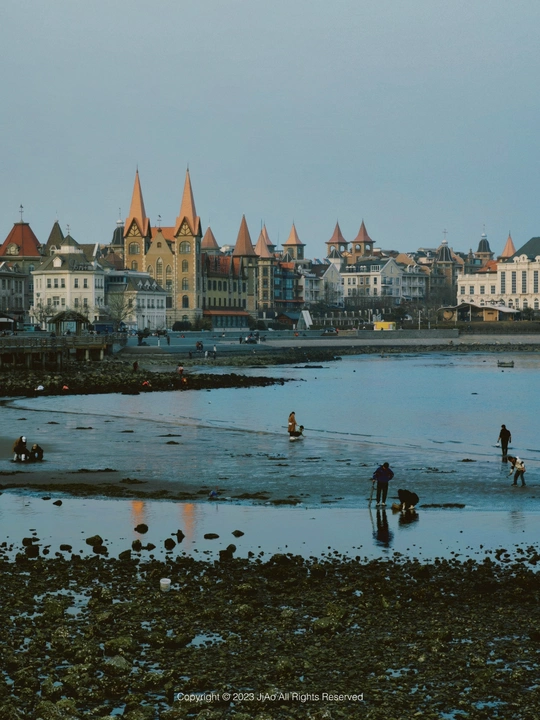 低潮时海滩上有人和狗在水中玩耍