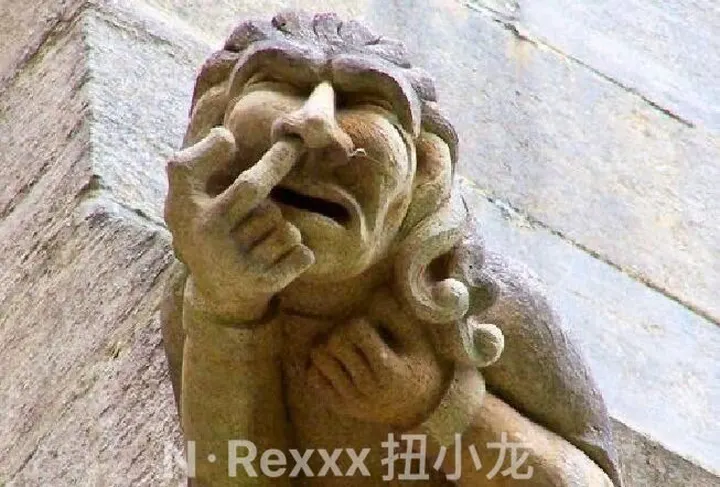 搞怪🤪