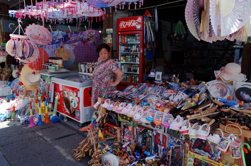 一位站在商店前卖玩具的女性