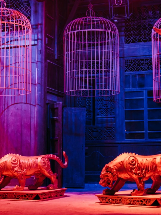 一只大象和一只老虎在舞台上