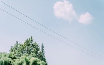 路边的蓝色天空下 一个交通标志。