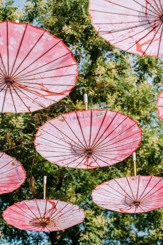 一组红伞在蓝色的天空中挂着