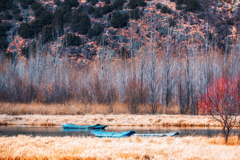 干草地上有一艘小船在水中的山前