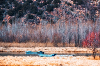 干草地上有一艘小船在水中的山前