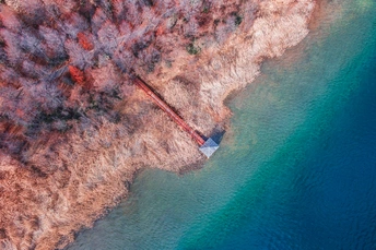 水上的一艘小船 周围有红树