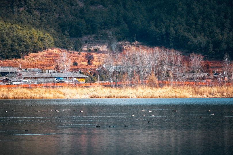 一片水域 一只鸟在上面飞翔 背景是一座山。