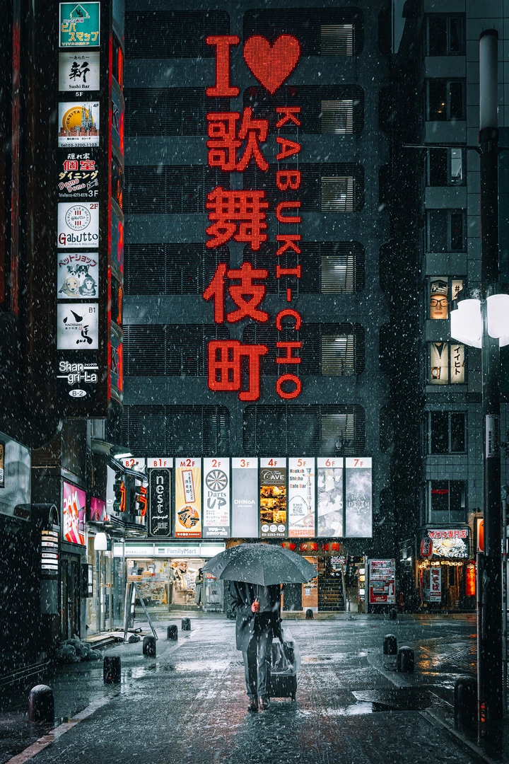 风雪夜归人