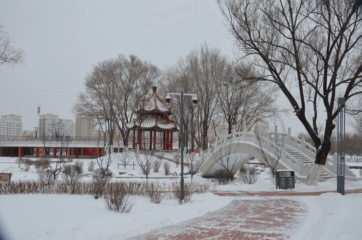 白雪纷纷染暮色