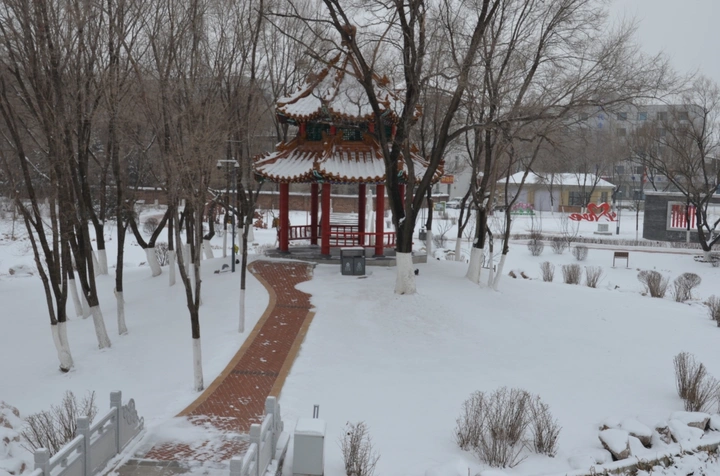 雪染林苑，古道西风