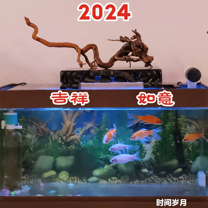 愿天下龙的传人2024吉祥如意