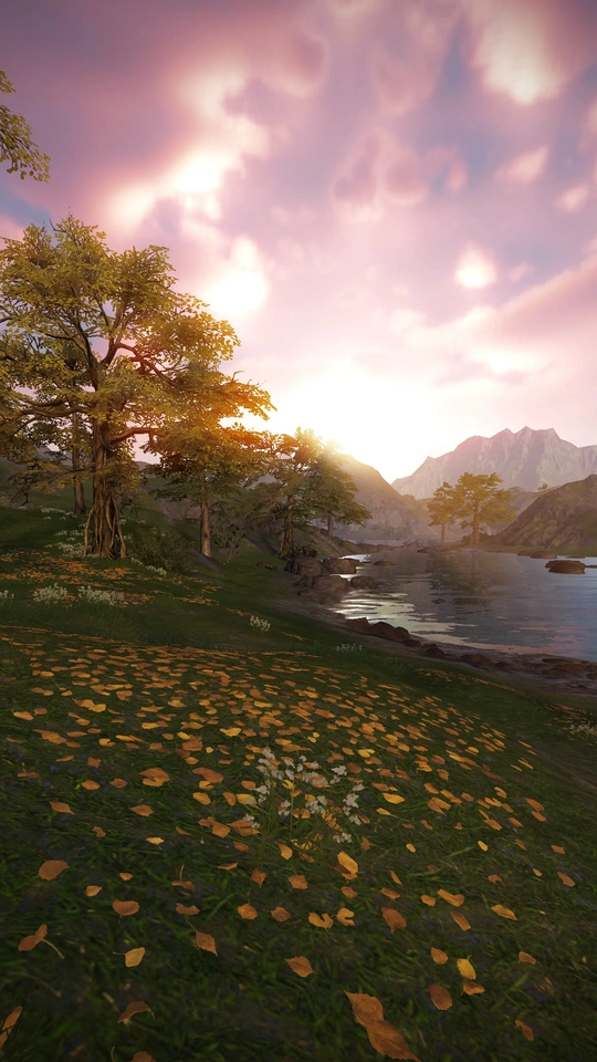 夕阳下 水面上有树木和山峦作为背景