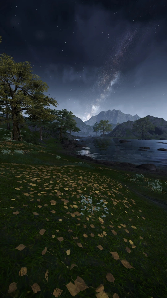 夜晚有树木和山丘的湖泊 天空中闪烁着星星。