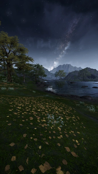 夜晚有树木和山丘的湖泊 天空中闪烁着星星。