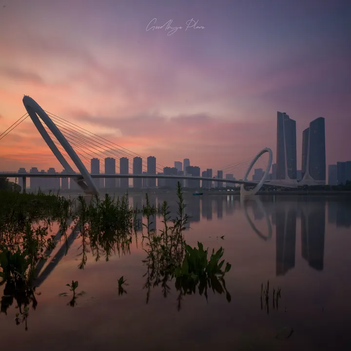 江心洲