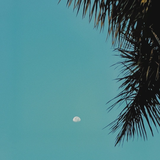 晴空中的满月