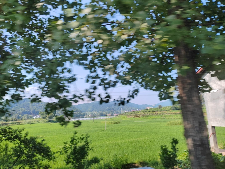 远