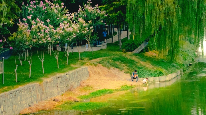 河边林荫