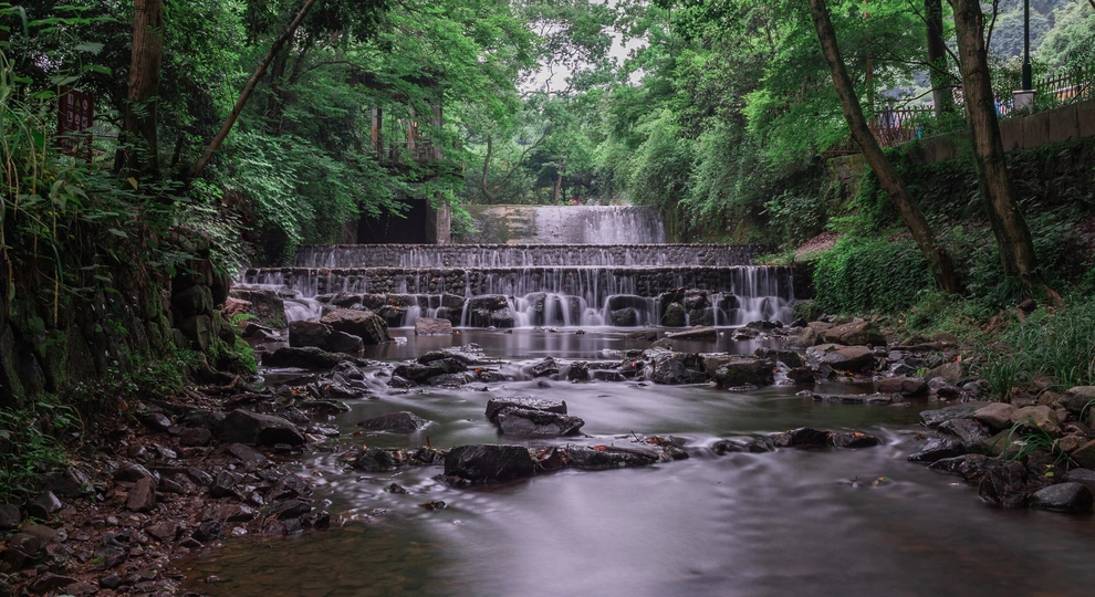 森林中有小溪的小瀑布