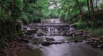 森林中有小溪的小瀑布