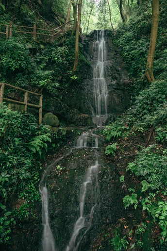 丛林中的一个小瀑布