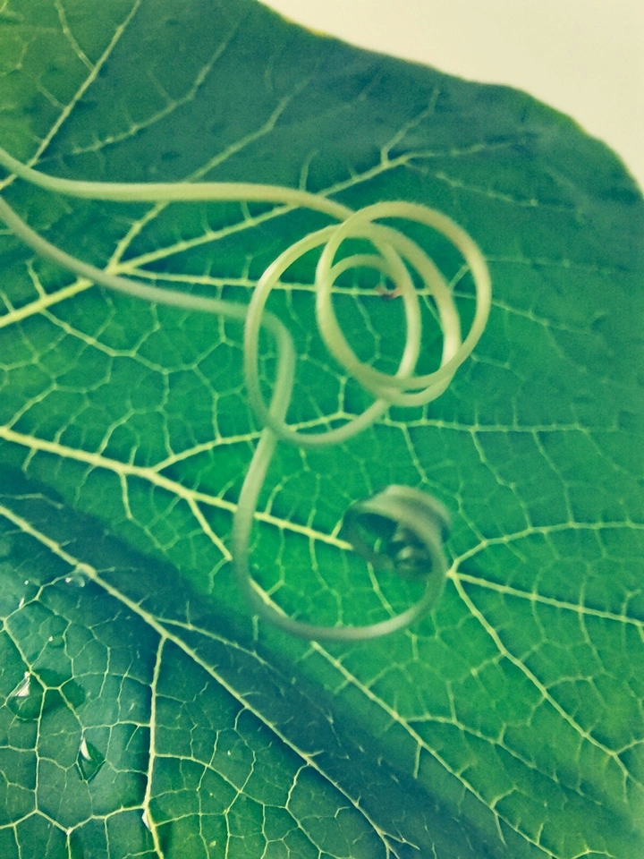 丝丝入扣