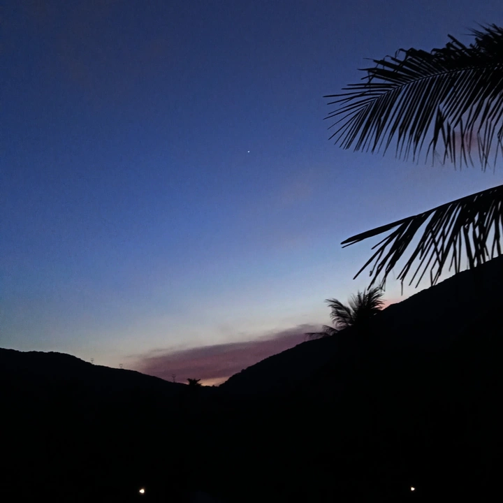 夕阳红