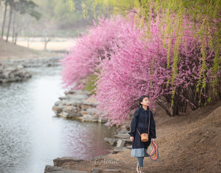 桃花源记
