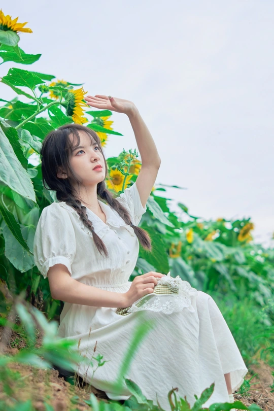 一个穿着白色连衣裙的年轻女子坐在向日葵地里
