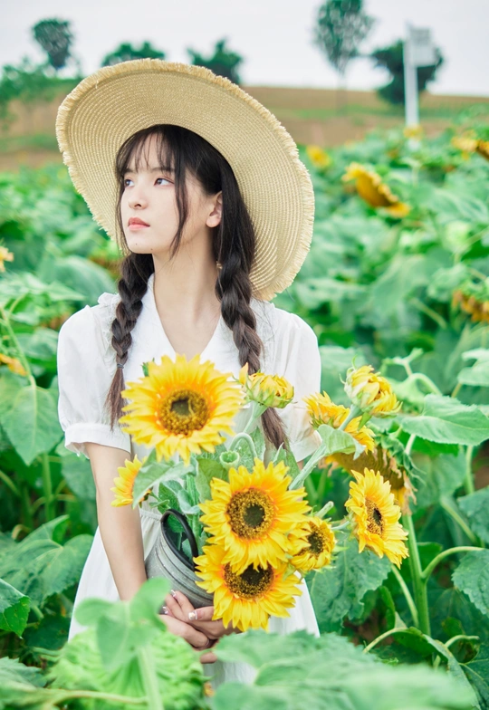 一位戴着帽子、手里拿着一朵花的年轻女子站在向日葵地里