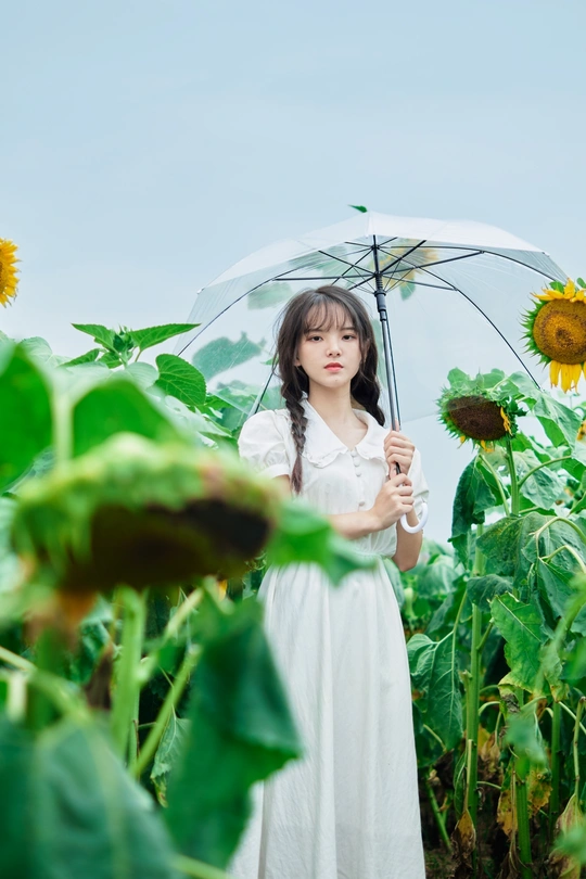 一位身穿白色连衣裙、撑着雨伞的年轻女子站在向日葵地里