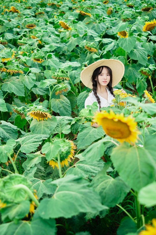 一个戴着白色帽子的年轻女子站在向日葵地里
