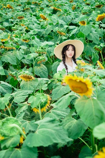 一个戴着白色帽子的年轻女子站在向日葵地里
