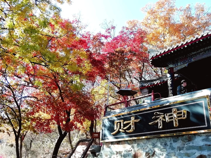 秋意浓