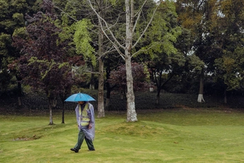 一个人拿着蓝色雨伞在公园里走 公园里有绿色的草地和树木。