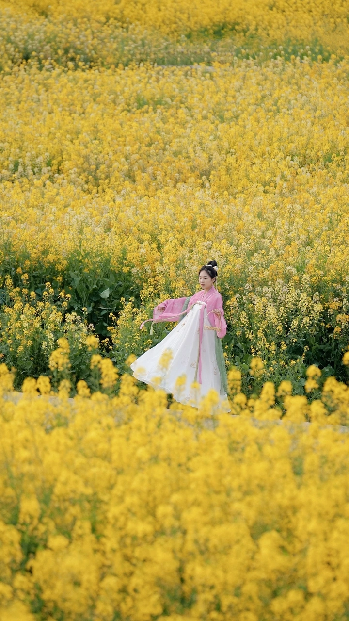 油菜花里的春天