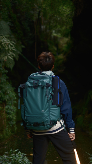 一个人背着绿色书包走在森林小径上
