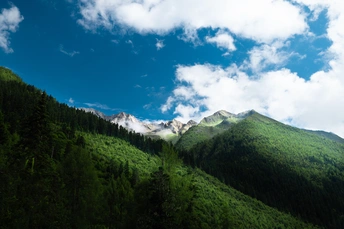 绿谷 绿山 蓝天下